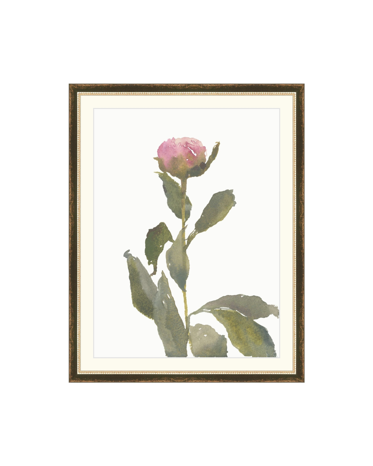 Single Rose