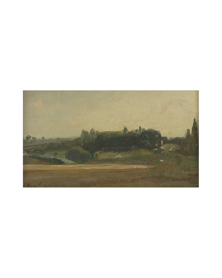 Fields III