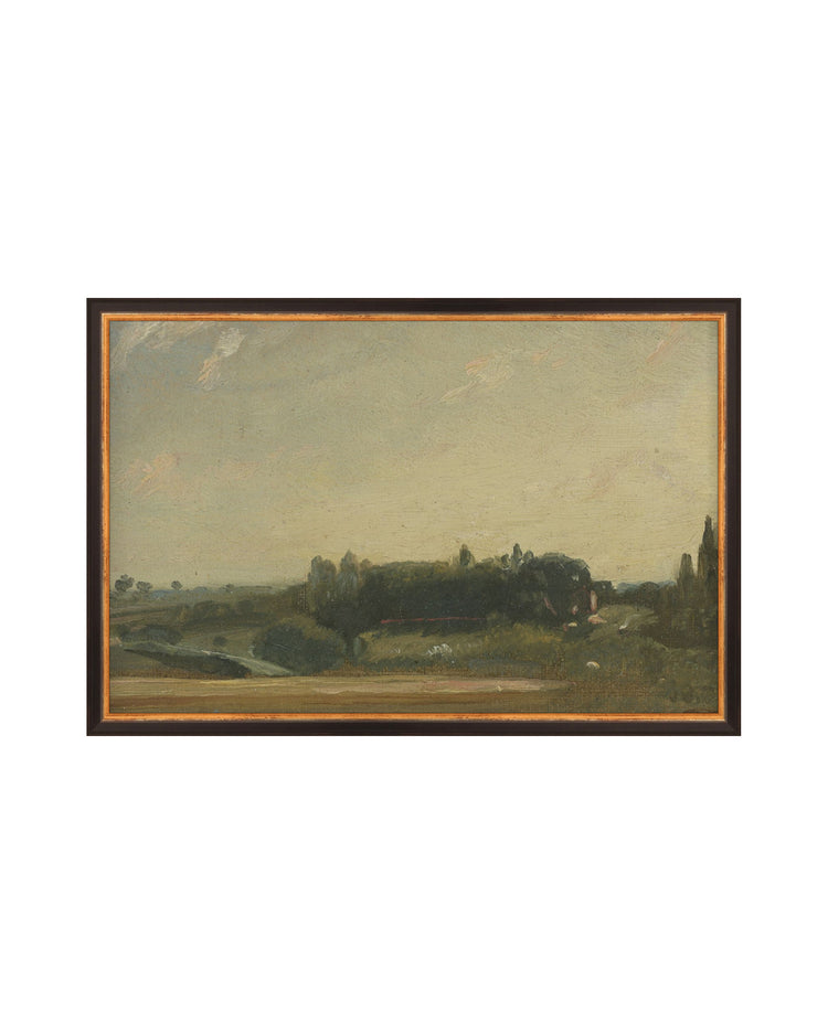 Fields III