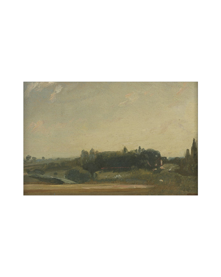 Fields III