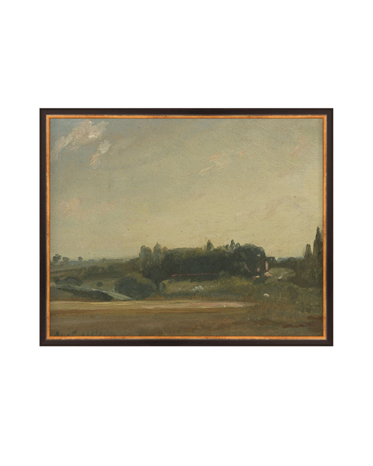 Fields III