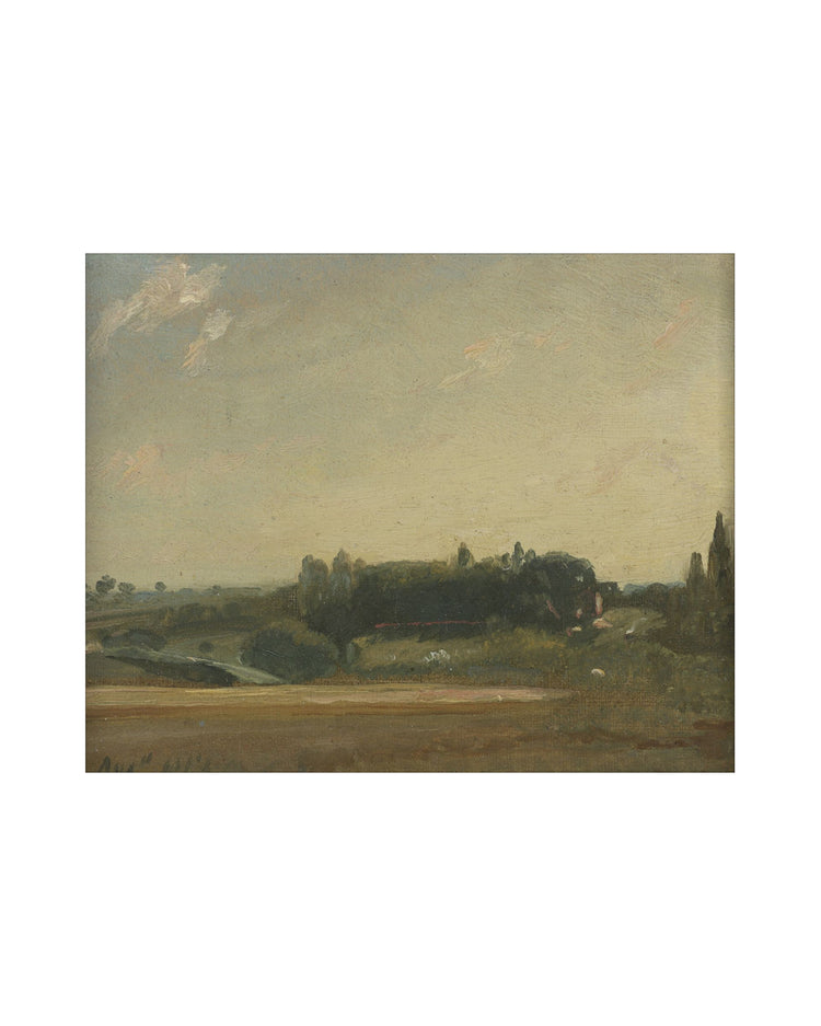 Fields III