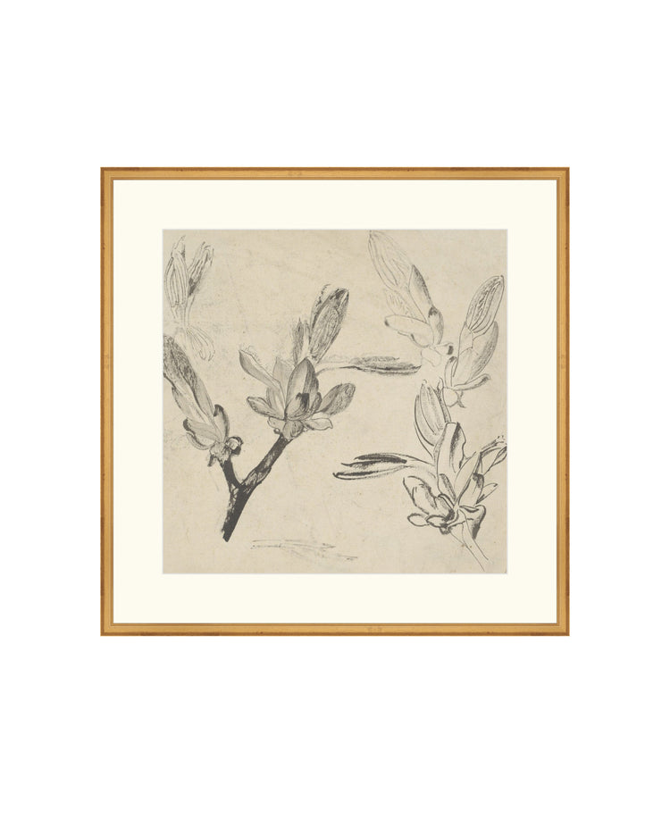Floral Drawing III