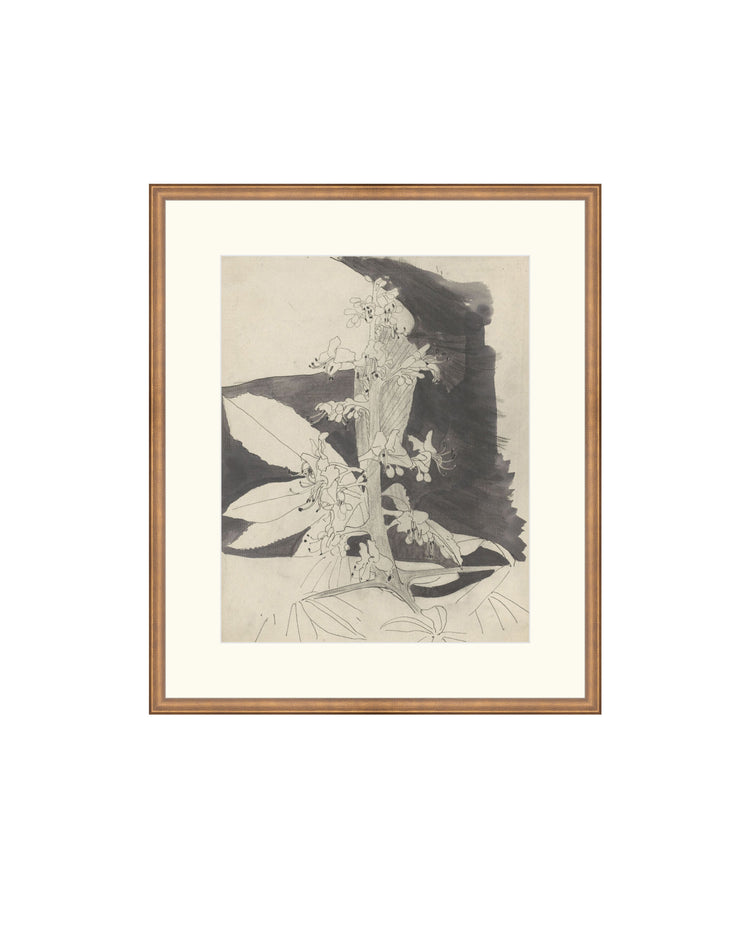 Floral Drawing IV