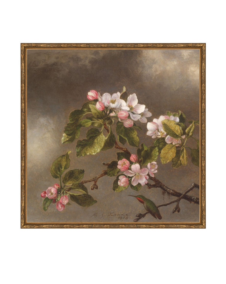 Flowers of May