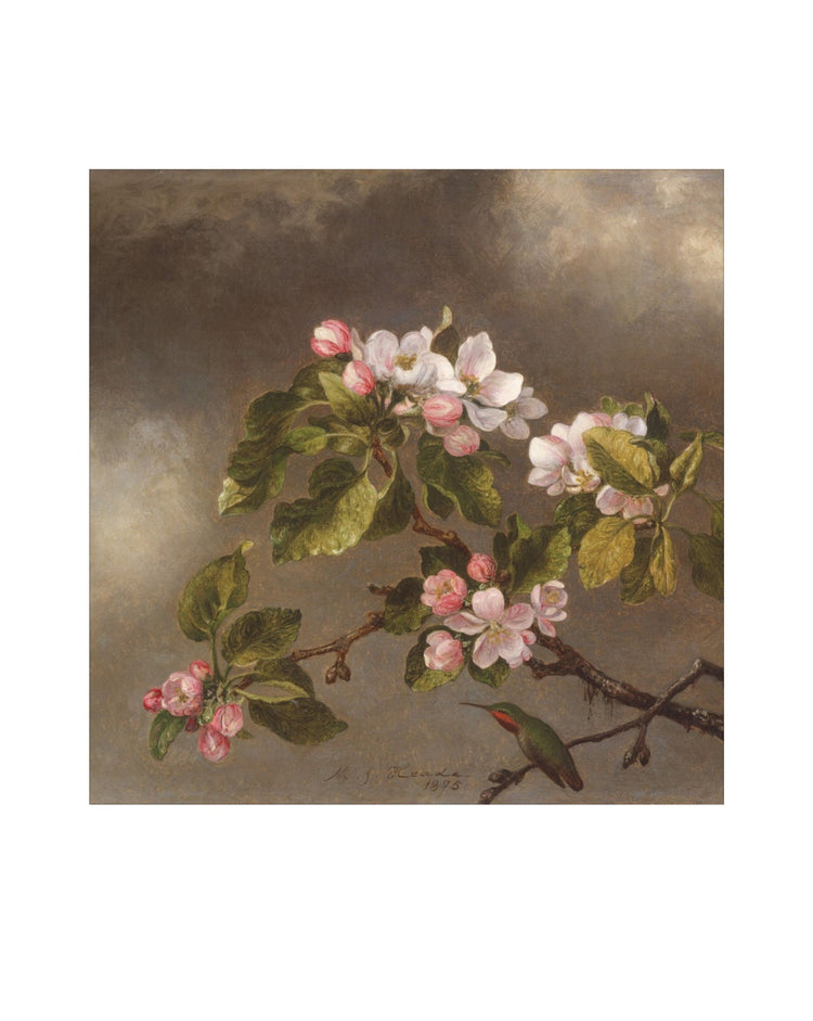 Flowers of May