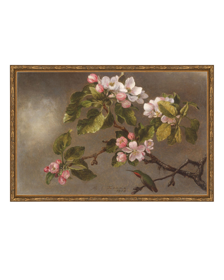 Flowers of May