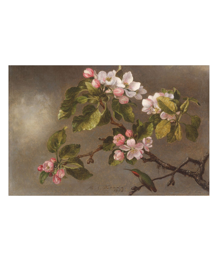 Flowers of May