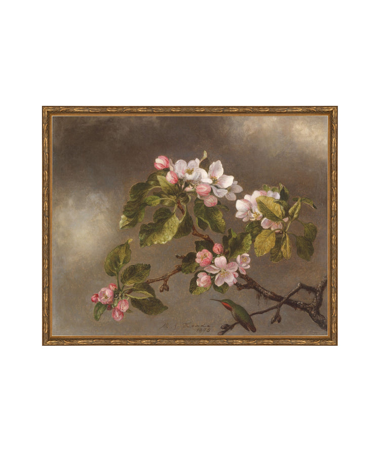 Flowers of May