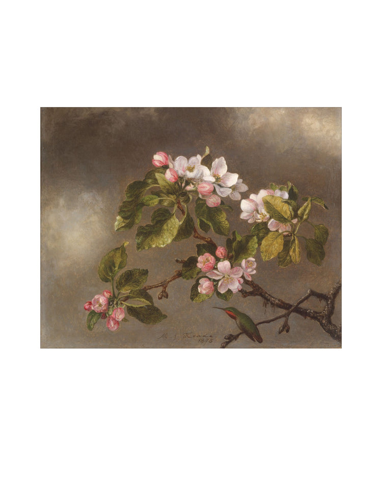 Flowers of May