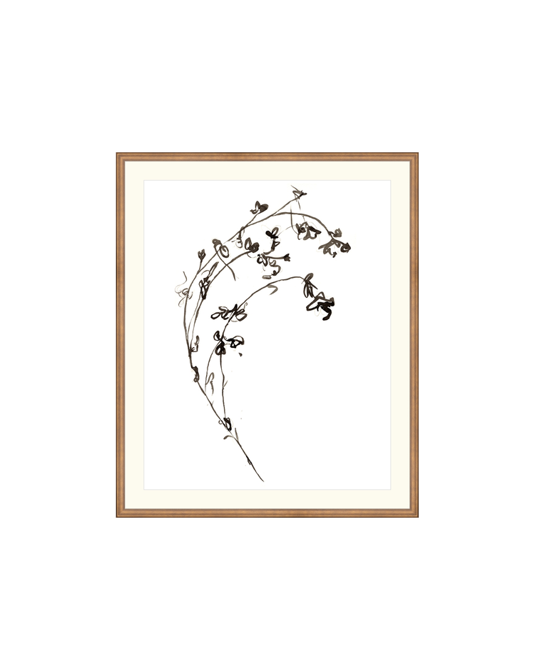 Botanical Ink Study I HoJ