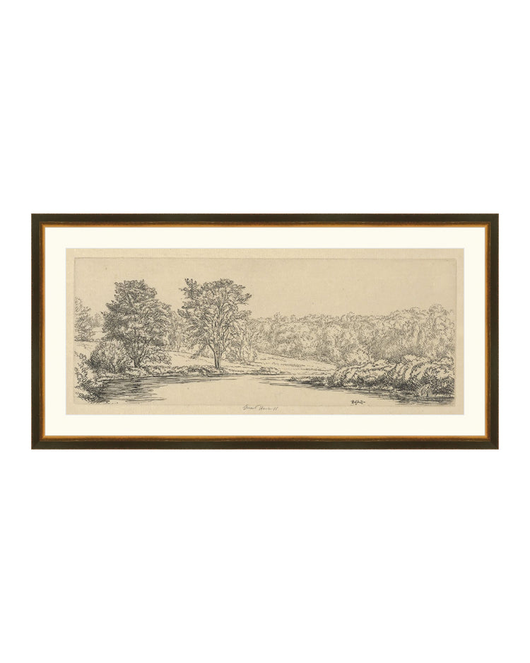 Forest Etching