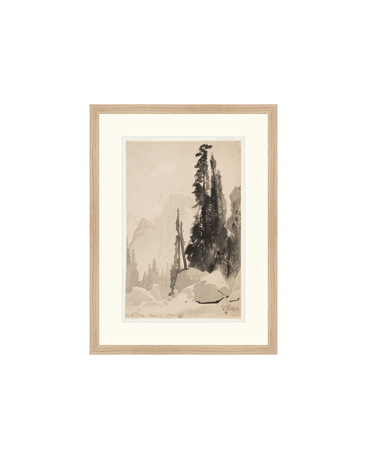 Antique Trees Drawing OAShop