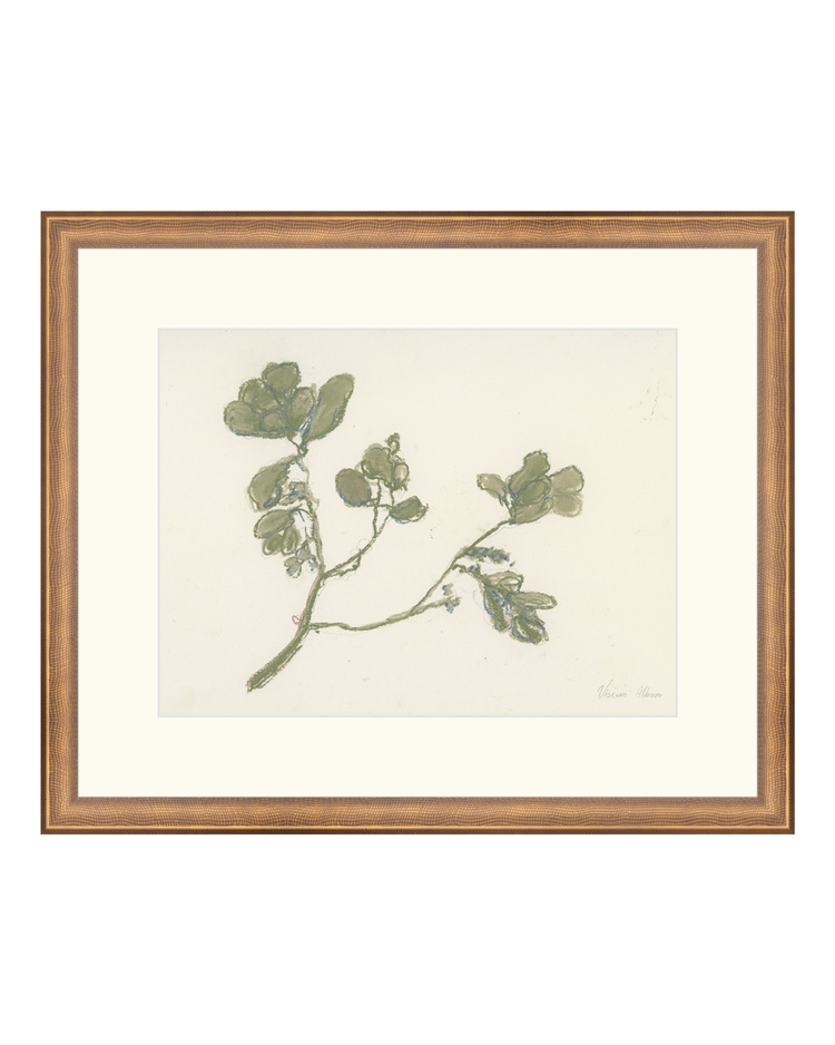 Pastel Mistletoe
