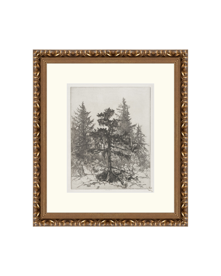 Pine Etching