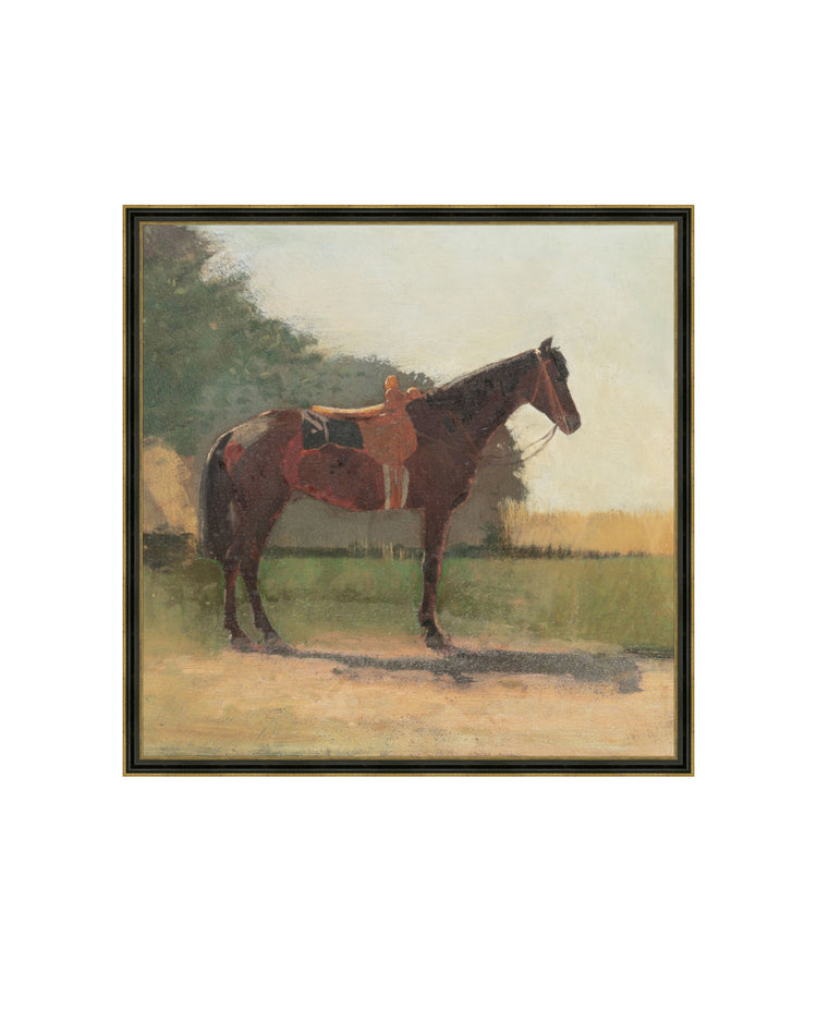 Horse in a Farm