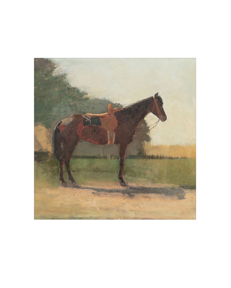 Horse in a Farm