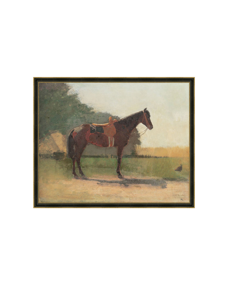 Horse in a Farm