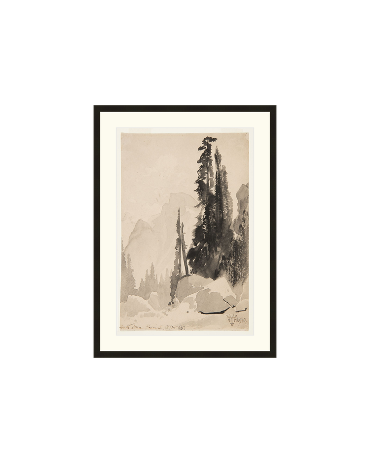 Antique Trees Drawing OAShop