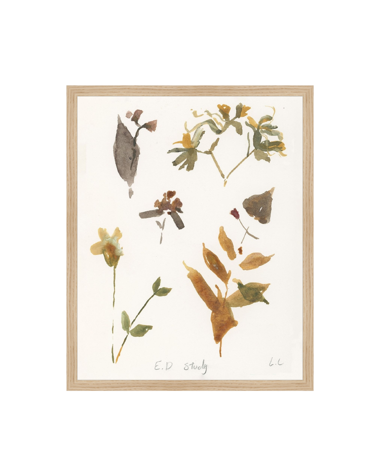 E.D Botanical Study