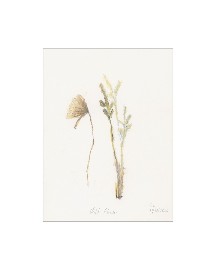 Wild Flowers II