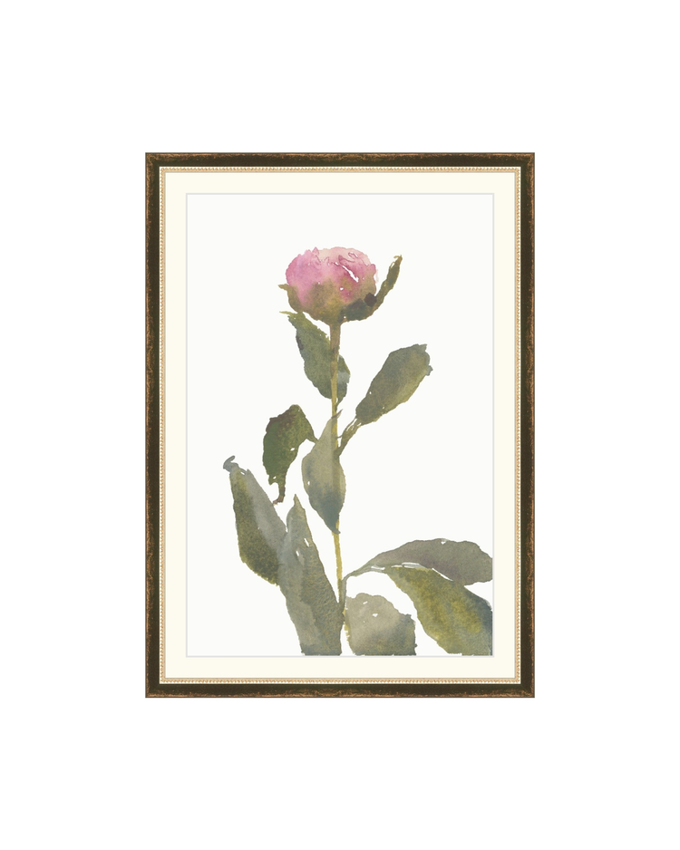 Single Rose