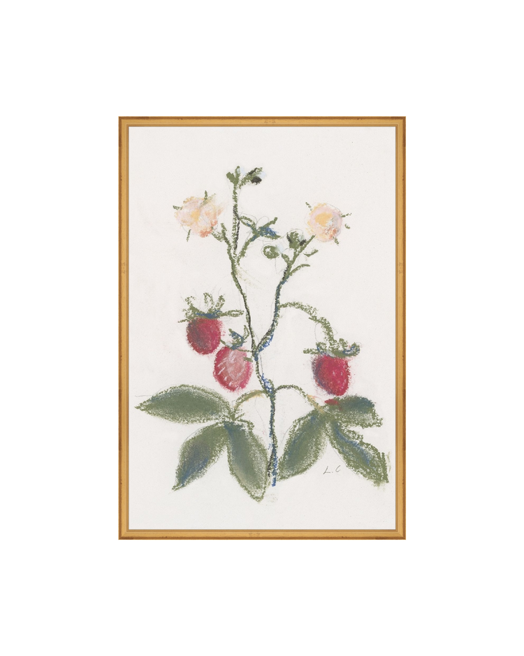 Strawberry Branch