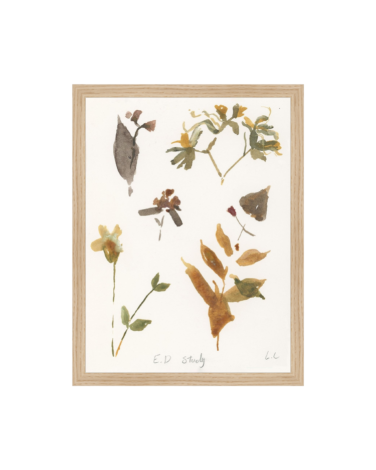 E.D Botanical Study