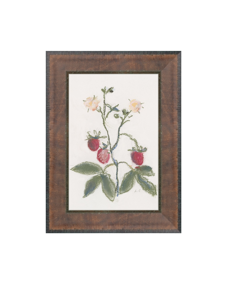 Strawberry Branch