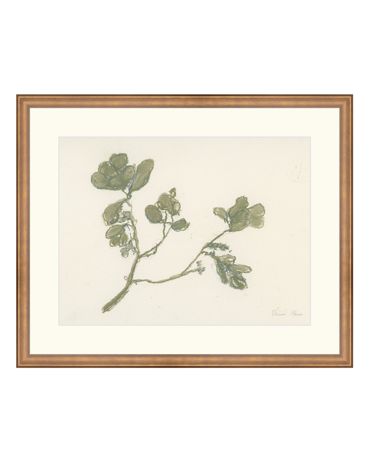 Pastel Mistletoe