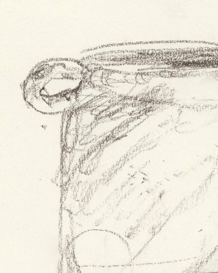 Vase Sketch II