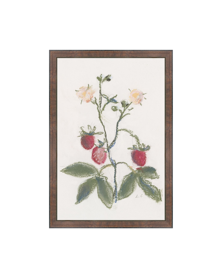 Strawberry Branch