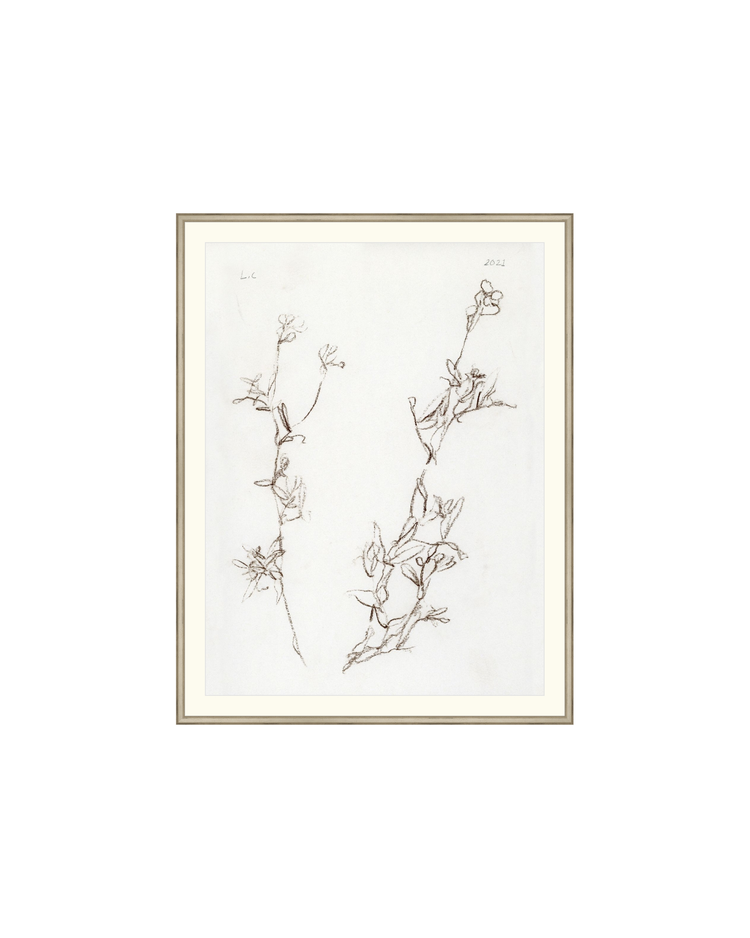 Botanical Study I HoJ