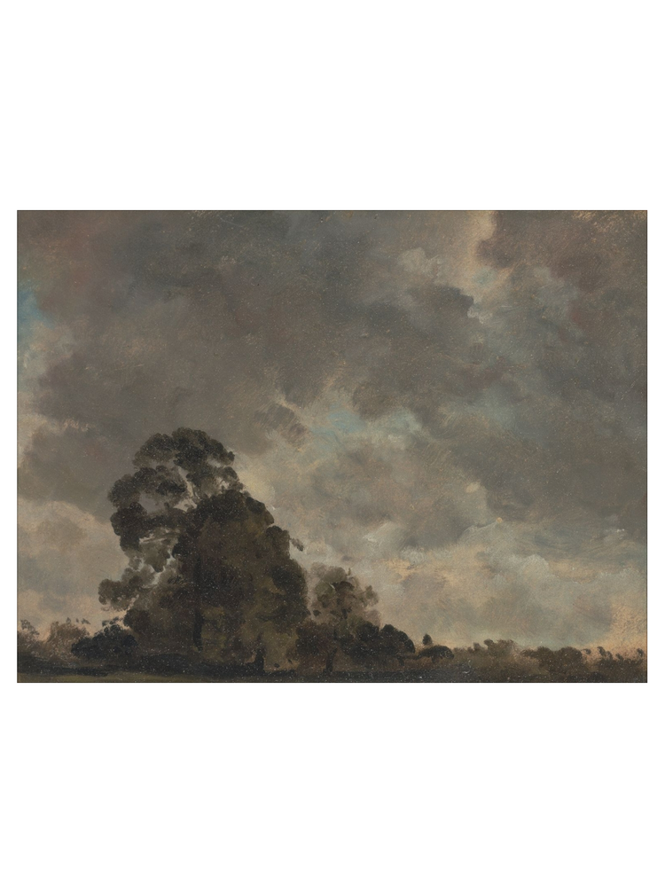 Trees on the Horizon HoJ 2