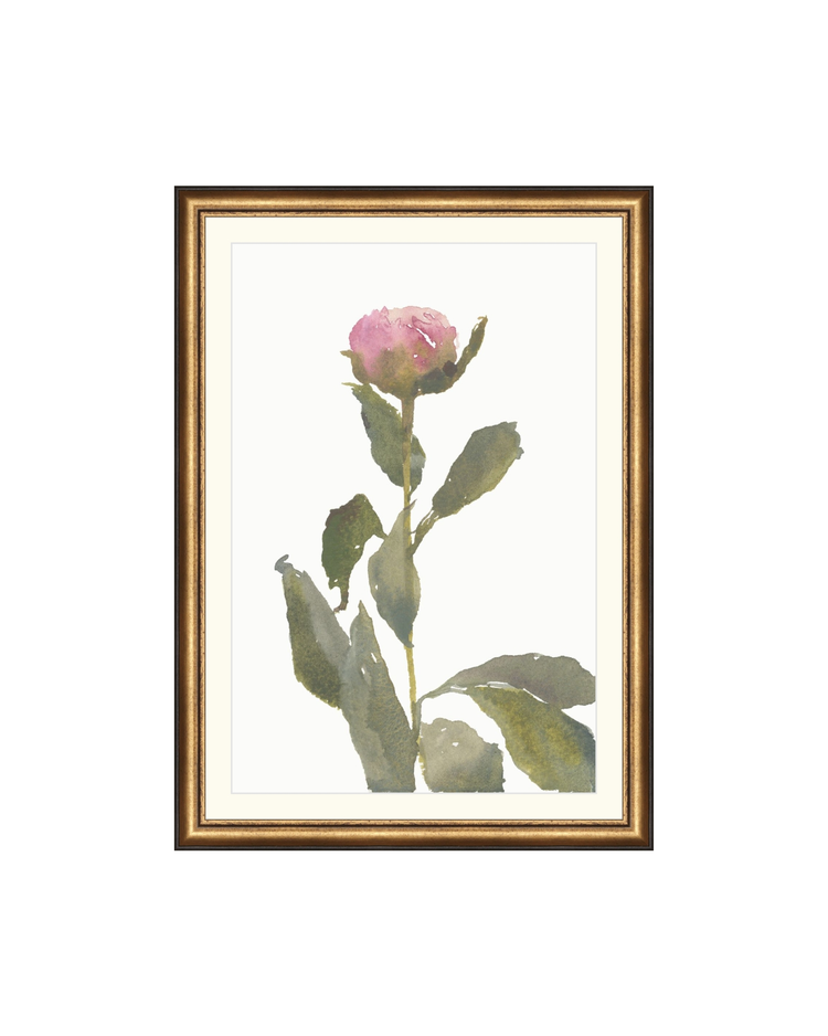 Single Rose