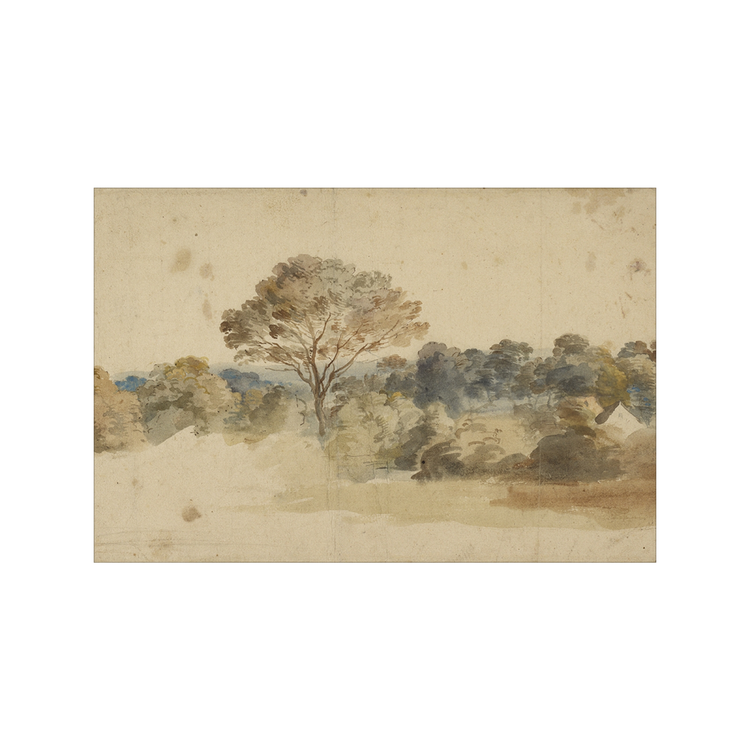 Baroque Landscape AIShop