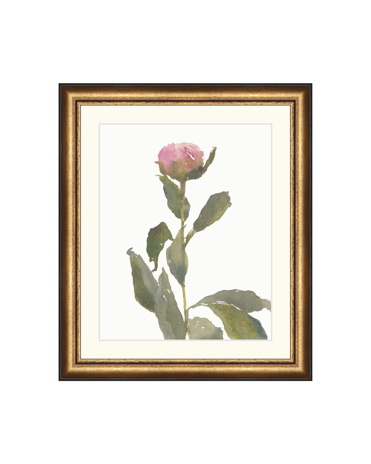 Single Rose