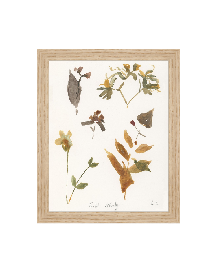 E.D Botanical Study