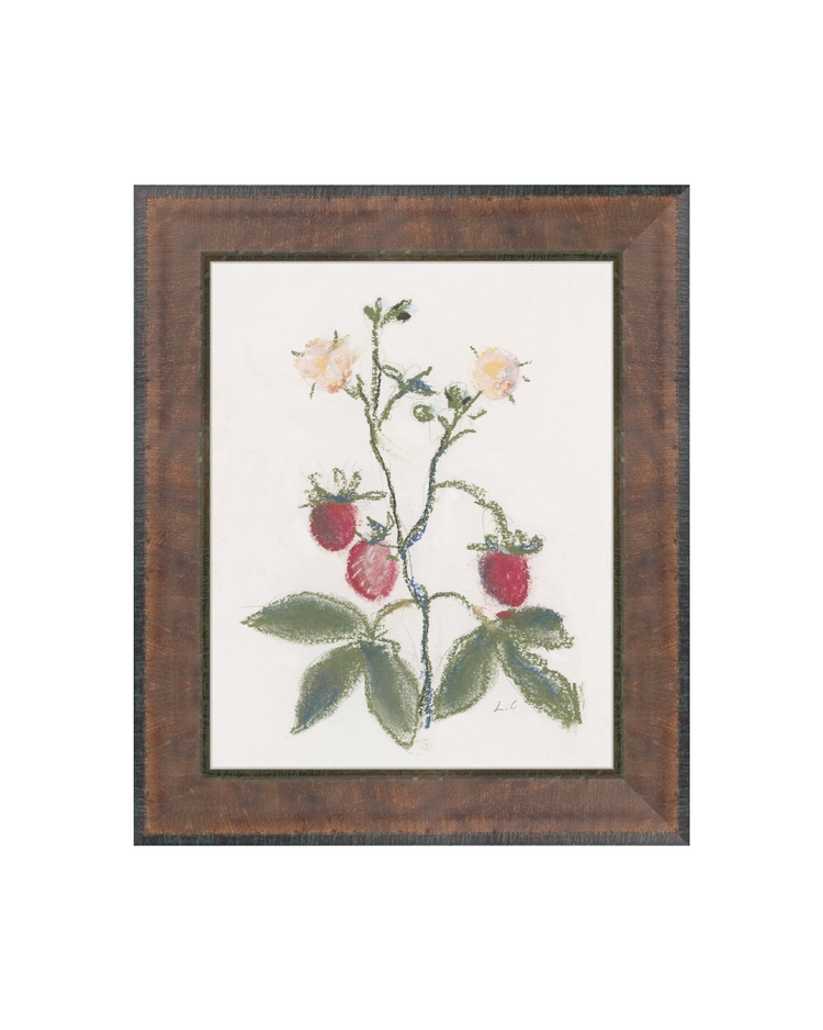 Strawberry Branch