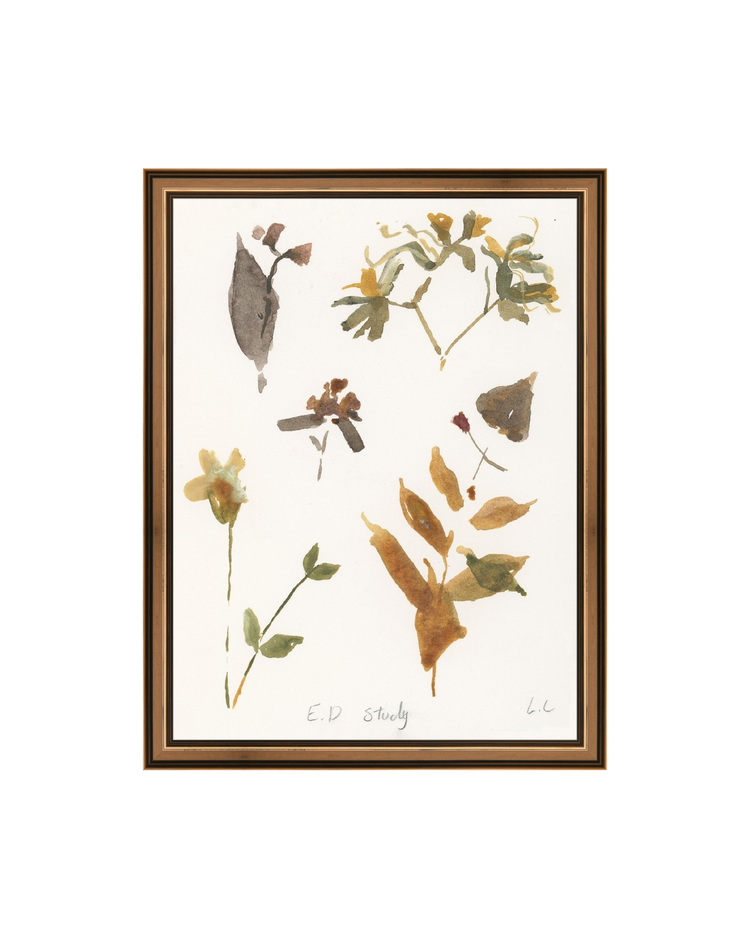 E.D Botanical Study