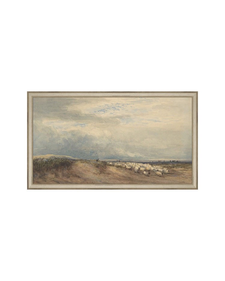 Sheep Field