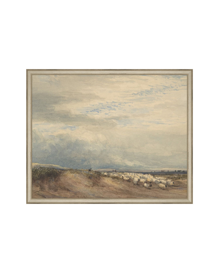 Sheep Field