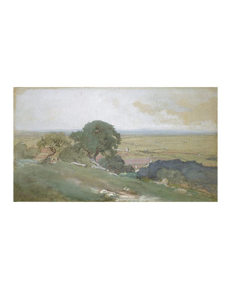 Olivos