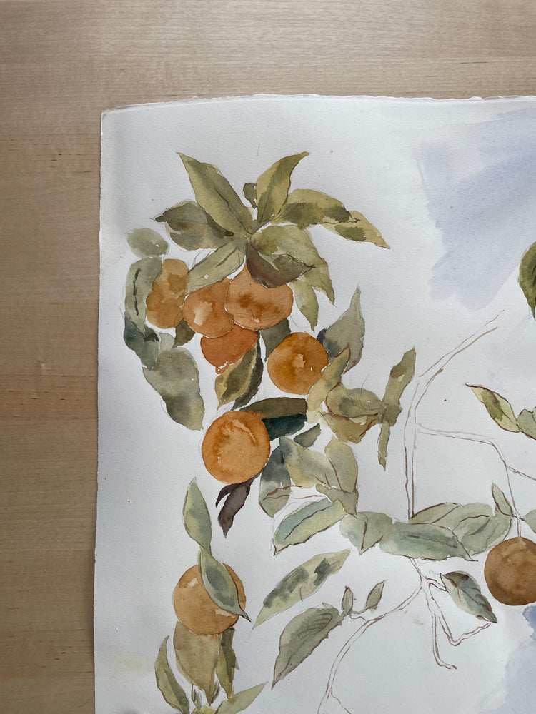 Original Artwork Lemons and Oranges Study