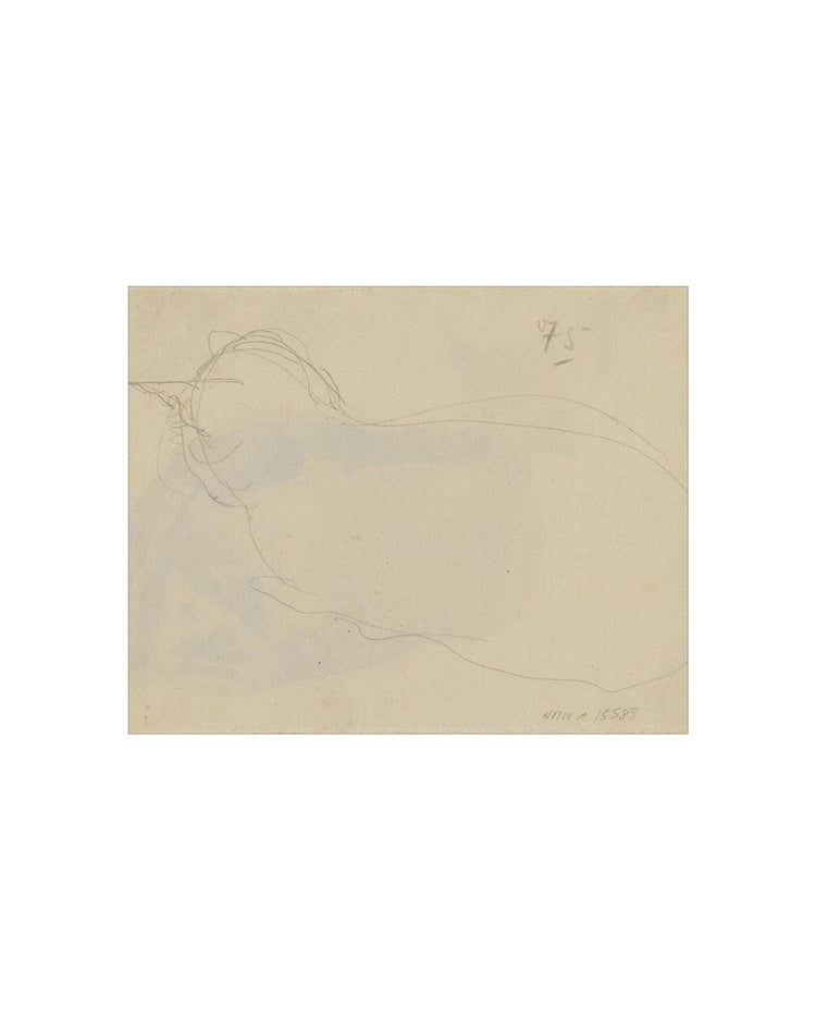 Sleeping Cat II