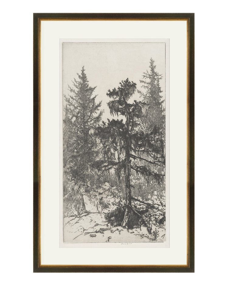 Trees Etching 2