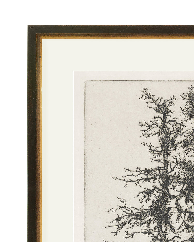 Trees Etching 3