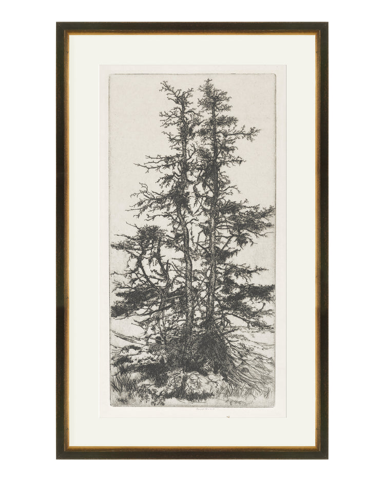 Trees Etching 3