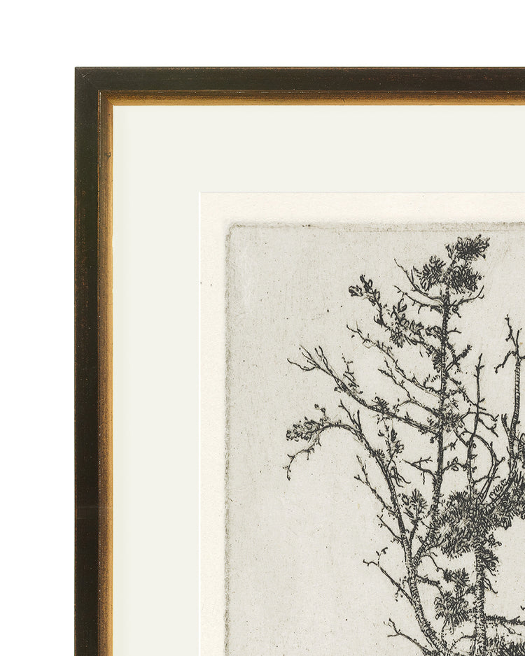Trees Etching 4