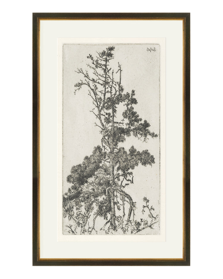 Trees Etching 4